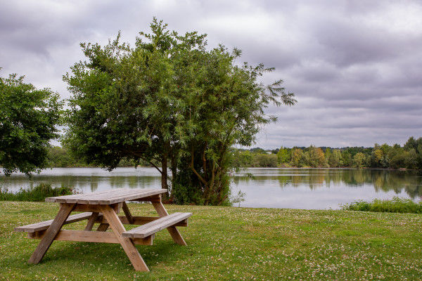 Picnic Table on Lawn