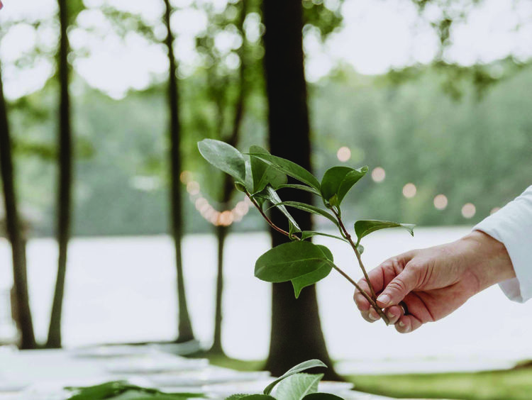 Wedding Venue in Marlow